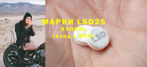 хмурый Алзамай