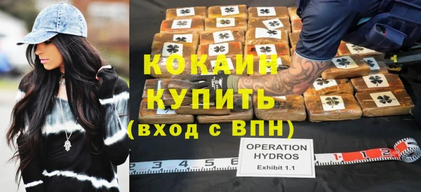 хмурый Алзамай