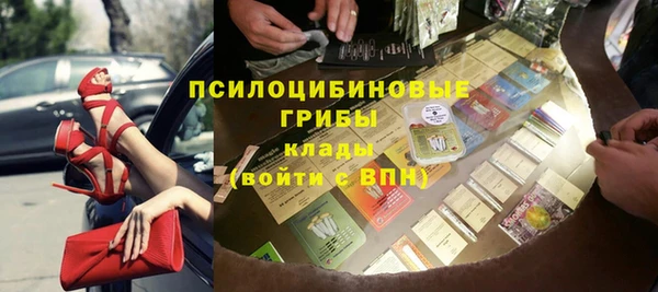хмурый Алзамай