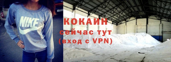 хмурый Алзамай
