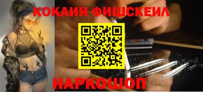 крисы Шебекино