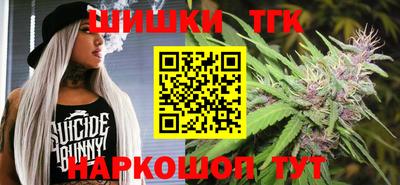 крисы Шебекино