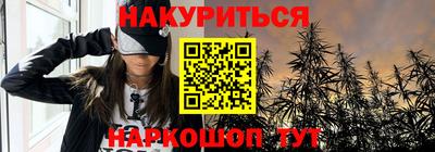 крисы Шебекино