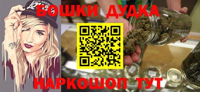 крисы Шебекино