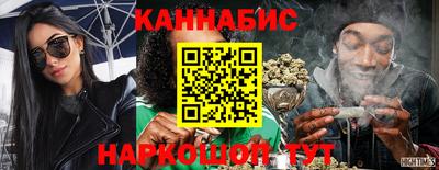 крисы Шебекино
