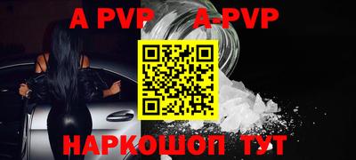 крисы Шебекино