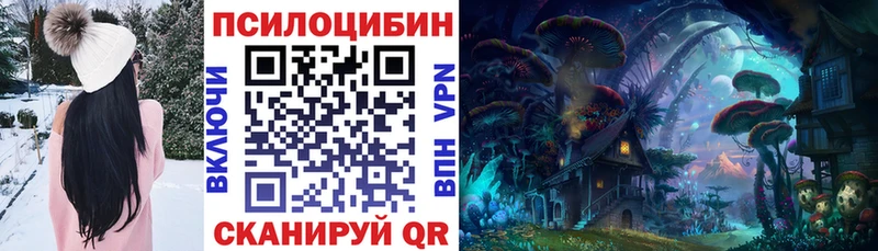 Псилоцибиновые грибы Psilocybine cubensis  Курганинск 