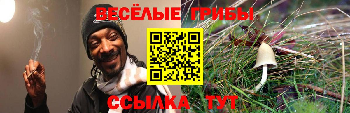 Псилоцибиновые грибы Psilocybe  Галлюциногенные грибы прущие грибы  Вход с VPN  Курганинск 