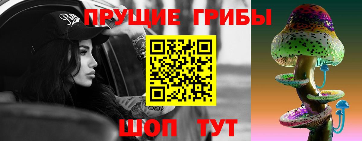 Псилоцибиновые грибы Psilocybe Курганинск