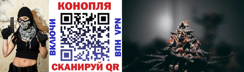 Шишки марихуана планчик  кракен как войти  Курганинск 